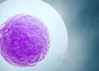 2026年长沙卵巢早衰试管助孕费用清单，成功通常需要6万元