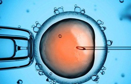 美国洛玛琳达大学生殖与试管中心的试管婴儿技术有何优势？