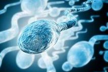 林芝市生孩子做染色体检查有必要吗，筛查一次大概需要多少钱？