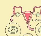 南通哪家医院做试管婴儿好？如何选择试管婴儿医院？