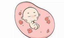 试管移植冻胚和冻囊胚的区别是什么？