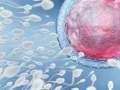 试管之前有卵巢囊肿怎么办？如何保养卵巢？