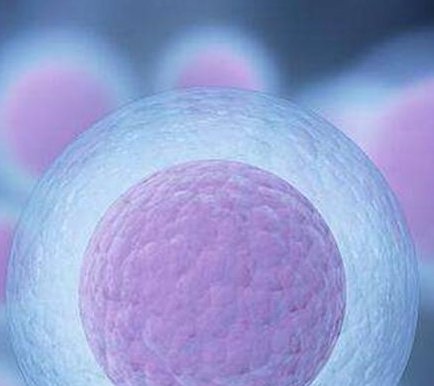 在俄罗斯做特需试管费用贵不贵 俄罗斯特需试管婴儿费用分析