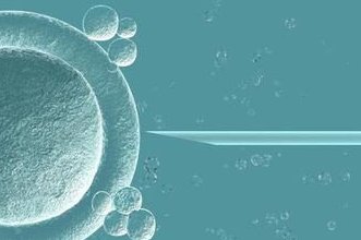 女性有染色体罗氏易位在阳泉市做试管养囊成功率高吗？试管移植后需要保胎吗！